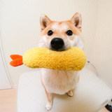 柴柴 狗狗柴犬发声玩具网红柴犬宠物日式炸虾天妇罗毛绒响纸狗玩具 天妇罗