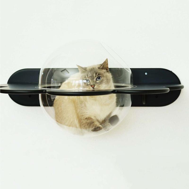 cat house with dome (9).jpg