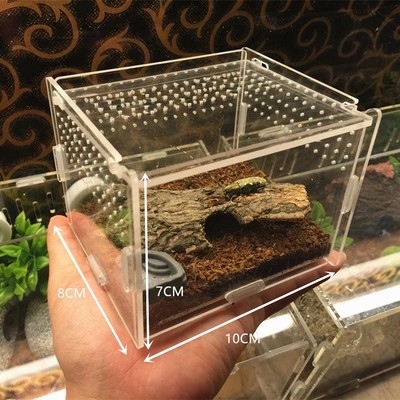亚克力透明爬宠箱爬宠造景箱亚克力透明爬宠房子