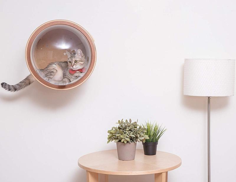 cat house with dome (2).jpg
