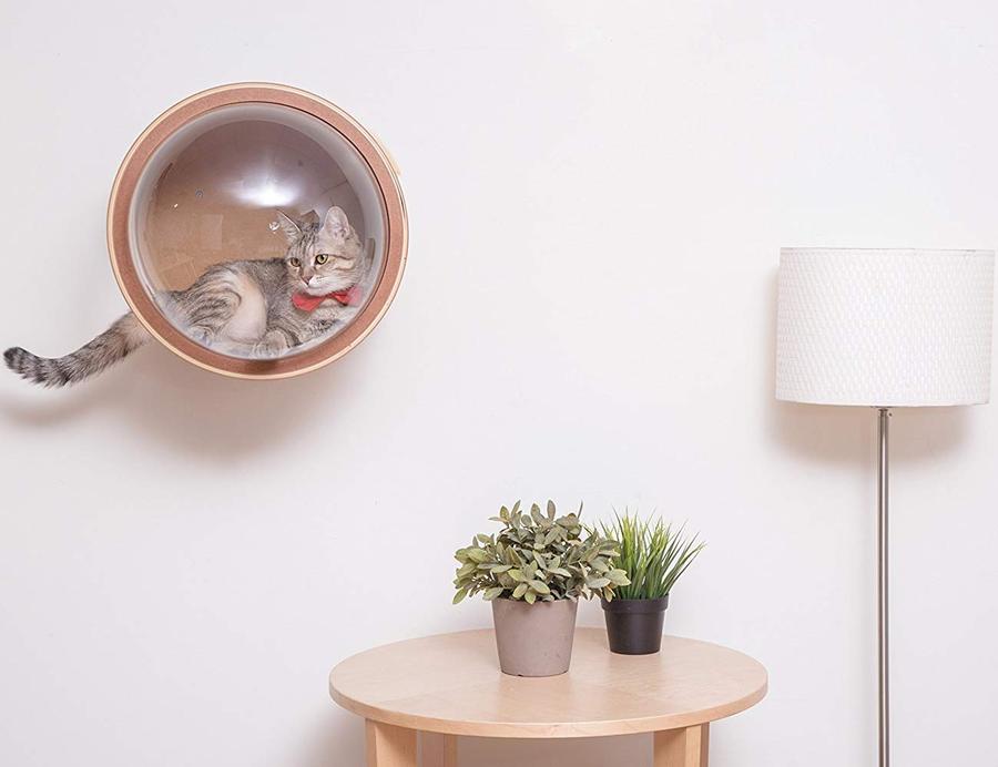 cat house with dome (2).jpg