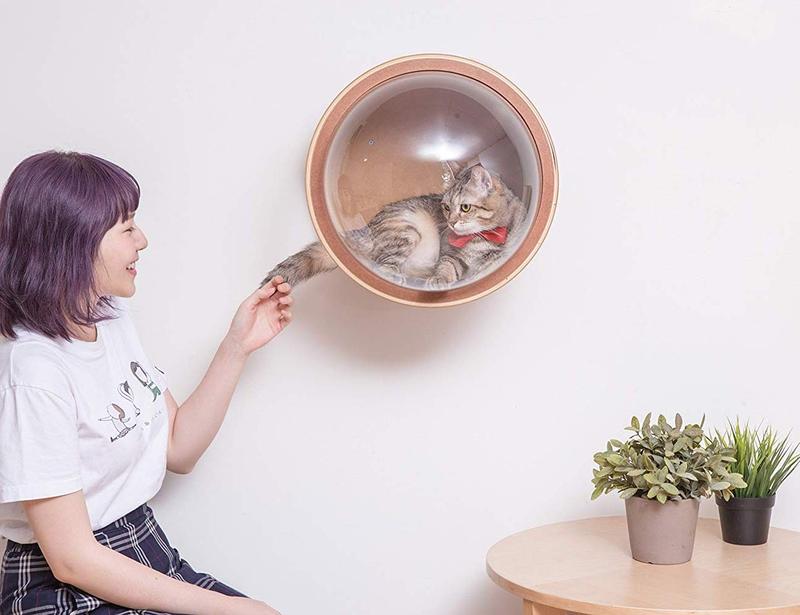 cat house with dome (1).jpg