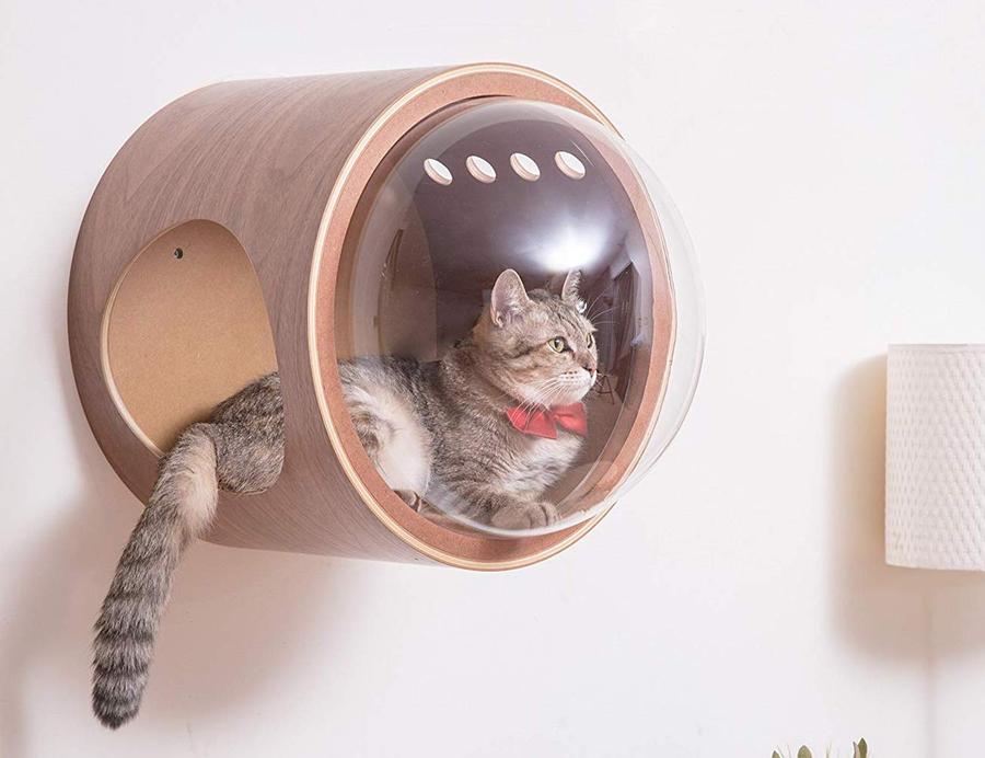cat house with dome (6).jpg