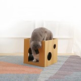 纸箱宠物窝正方形瓦楞纸宠物房子带猫抓板底座适合室内使用