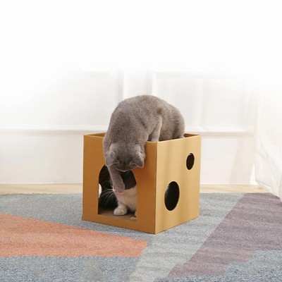 纸箱宠物窝正方形瓦楞纸宠物房子带猫抓板底座适合室内使用