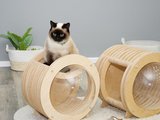 猫窝太空舱宠物家具太空舱猫窝四季通用透明亚克力球形实木猫咪屋房子网红宠物窝