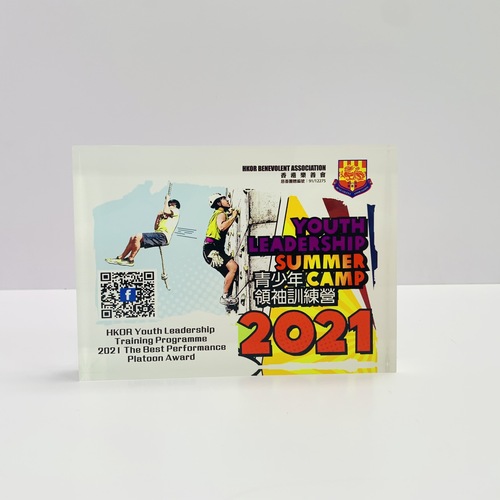 Acrylic Award and trophy logo UV direct printing,Acrylic Awards and Acrylic Plaques
